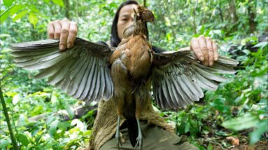 4 Year Survival Challenge In The Jungle - Face Of Survival - #20