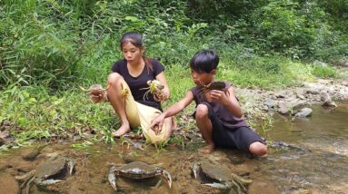 Survival skills: Wow Catch biggest crab in river for food - Big crab spicy cooking for dinner