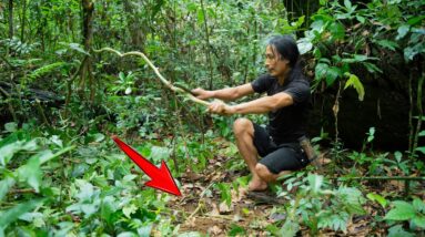 Tracing the trail of wild boar, Eat insects to survive in the tropical forest | Sumatra's Instinct