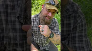 Learn This Plant! | FUEL The FIRES