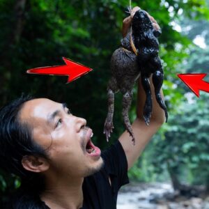 A Variety of traps around the shelter. Grilled big stream Frogs | Sumatra's Instinct