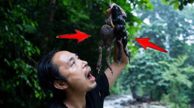 A Variety of traps around the shelter. Grilled big stream Frogs | Sumatra's Instinct