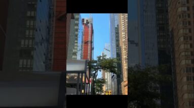 Just spotted Wednesday morning 26 JULY in Midtown, NYC. Hope everyone is safe. 🙏