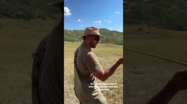 60-Second TIP: The ATLATL with Kevin Estella. #rewilding