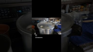 Been Canning a lot, I'll Post the Next Leather Project Soon.