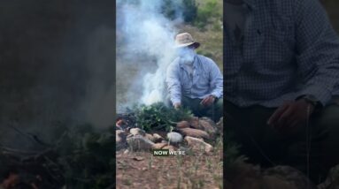 Ever wondered how to start a signal fire?!? 💨