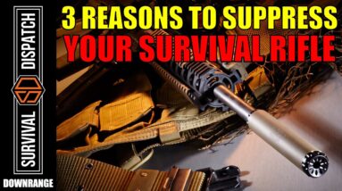 The Benefits of Suppressing Your Survival Rifle