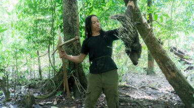 1 Year Survival Challenge In The Jungle - full Videos - The longest video in the world