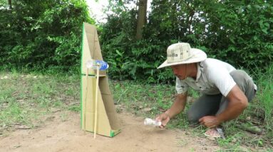 របៀបធ្វើអន្ទាក់ដោយប្រើដប និងប្រអប់ក្រដាសកាតុងធ្វើកេស