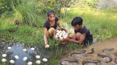 Pick egg and catch fish in the lake for food in forest - Cooking fish with egg for dinner