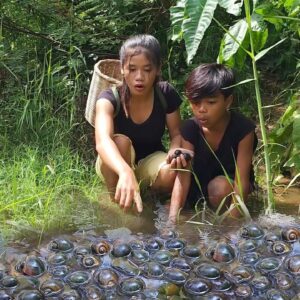 Pick snails and egg in river for jungle food, Cooking snail spicy with egg Eating delicious