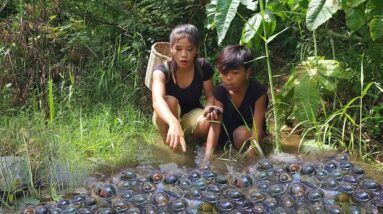 Pick snails and egg in river for jungle food, Cooking snail spicy with egg Eating delicious