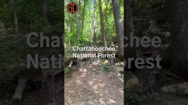 Miss Piggy the Pitbull Climbs Brasstown Bald