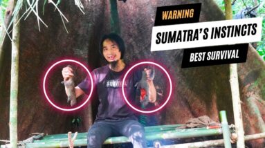 Sumatra's Instincts | 4 DAYS solo survival #1 (NO FOOD, NO WATER, NO SHELTER) - Shelter, Set Traps