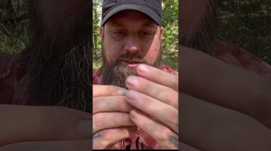 Ultimate Survival Watch