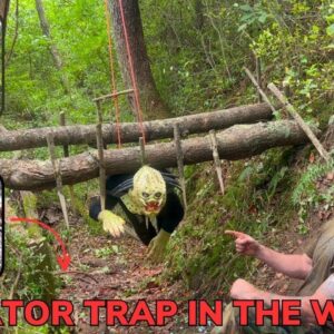 Solo Overnight Survival Instructor Builds Arnolds Predator Trap in The Woods