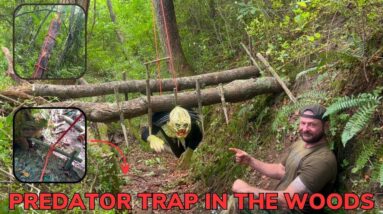 Solo Overnight Survival Instructor Builds Arnolds Predator Trap in The Woods