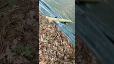 Your 10-Second Camping TIP! Use nature….