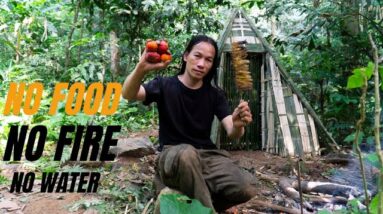 Solo Survival - No Fire, No Food, No Water, Fighting The Harsh Weather, facing Survival #8