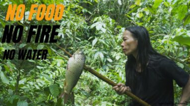 Solo Survival - No Fire, No Food, No Water, Fighting The Harsh Weather, facing Survival #9