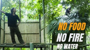 Solo Survival - No Fire, No Food, No Water, Fighting The Harsh Weather, facing Survival #11