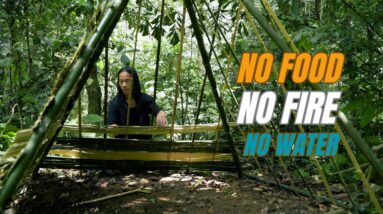 Solo Survival - No Fire, No Food, No Water, Fighting The Harsh Weather, facing Survival #20