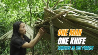 SURVIVAL CHALLENGE: (No Food, No Water, No Shelter) With Only 1 Knife To Survive In The Forest - #1