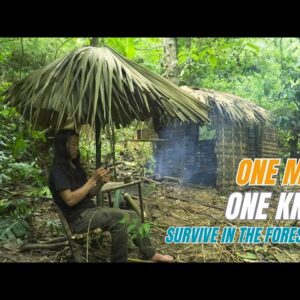 SURVIVAL CHALLENGE: (No Food, No Water, No Shelter) With Only 1 Knife To Survive In The Forest - #2