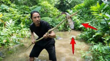 FULL VIDEO: Trapping, Hunting, Mouse, Fish, Frog, Boar