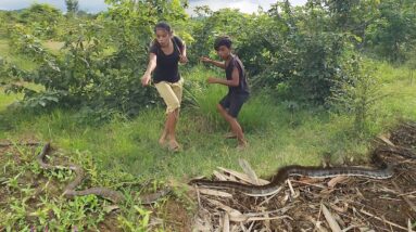 Wow Very Brave! Catching Big Snake and Cooking soup for jungle yummy food @survivalskillsanywhere