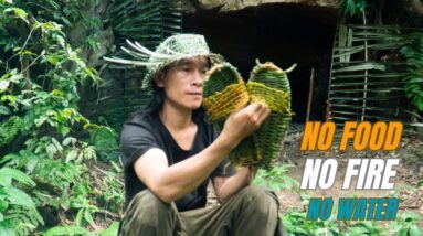 Solo Survival - No Fire, No Food, No Water, Fighting The Harsh Weather, facing Survival #25