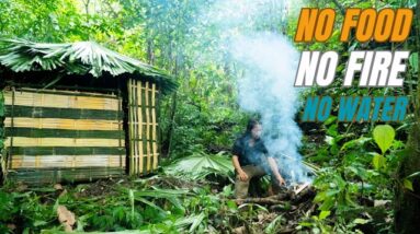 Solo Survival - No Fire, No Food, No Water, Fighting The Harsh Weather, facing Survival #27