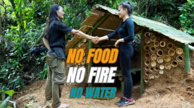 Solo Survival - No Fire, No Food, No Water, Fighting The Harsh Weather, facing Survival #28