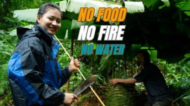 Solo Survival - No Fire, No Food, No Water, Fighting The Harsh Weather, facing Survival #29