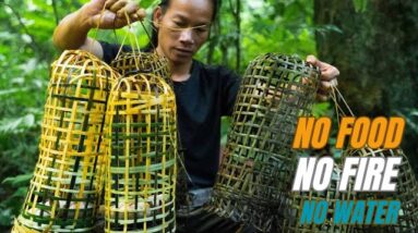 Solo Survival - No Fire, No Food, No Water, Fighting The Harsh Weather, facing Survival #30