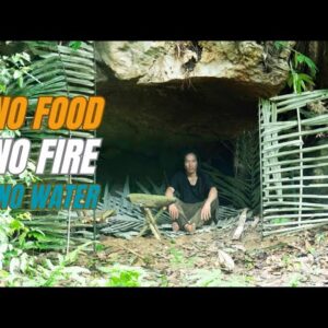 Solo Survival - No Fire, No Food, No Water, Fighting The Harsh Weather, facing Survival #31