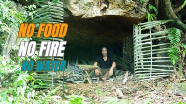 Solo Survival - No Fire, No Food, No Water, Fighting The Harsh Weather, facing Survival #31