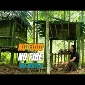Solo Survival - No Fire, No Food, No Water, Fighting The Harsh Weather, facing Survival #35
