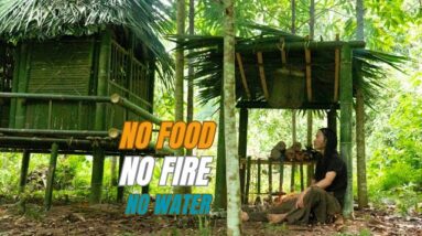 Solo Survival - No Fire, No Food, No Water, Fighting The Harsh Weather, facing Survival #35