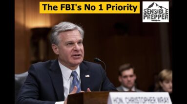 Official FBI Warning : The No. 1 Domestic threat to the U.S.