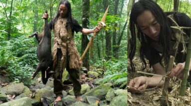 Survival Challenge - The 6 Month Survival Challenge In The Jungle - Part 3