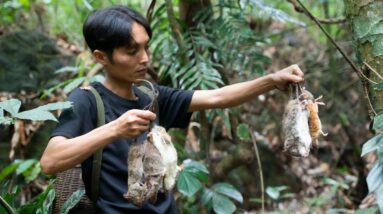 The Encounter with Sumatra, Taking the Challenges Together