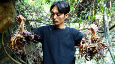 SƠN Caught An Enormous Amount Of Stream Crabs, They Are Endless To Eat, We Have To Bring Them Back