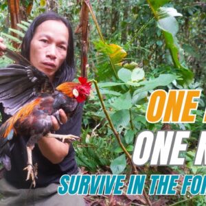 SURVIVAL CHALLENGE: (No Food, No Water, No Shelter) With Only 1 Knife To Survive In The Forest - #5