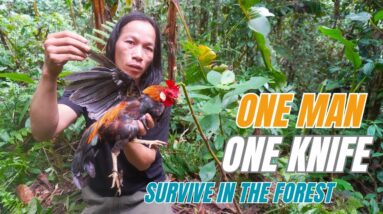 SURVIVAL CHALLENGE: (No Food, No Water, No Shelter) With Only 1 Knife To Survive In The Forest - #5