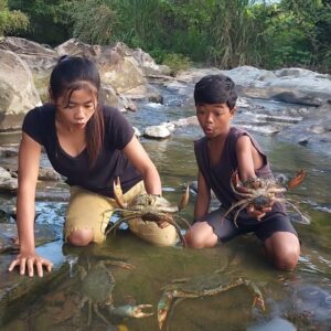 Adventure in forest: Catch and cook Big crab for food of survival - Big crabs Soup tasty for dinner
