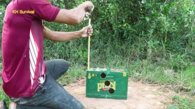 Best Creative Bird Trap Using Cardboard Box - Unique Pigeon Trap