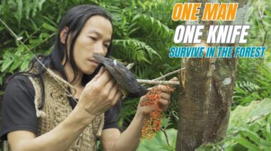 URVIVAL CHALLENGE: (No Food, No Water, No Shelter) With Only 1 Knife To Survive In The Forest - #15