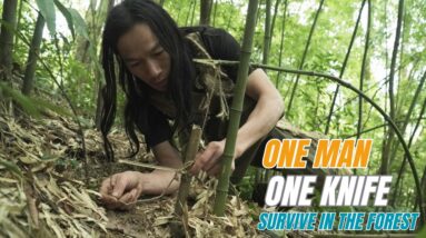 SURVIVAL CHALLENGE: (No Food, No Water, No Shelter) With Only 1 Knife To Survive In The Forest - #17