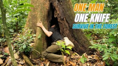 SURVIVAL CHALLENGE: (No Food, No Water, No Shelter) With Only 1 Knife To Survive In The Forest - #20